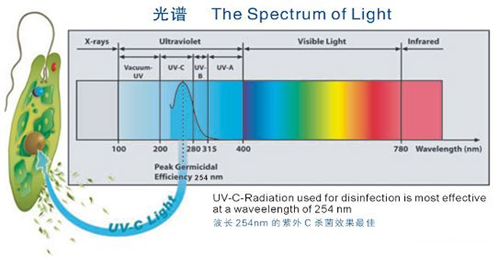 科普！紫外線殺菌燈對人體影響及正確使用方法